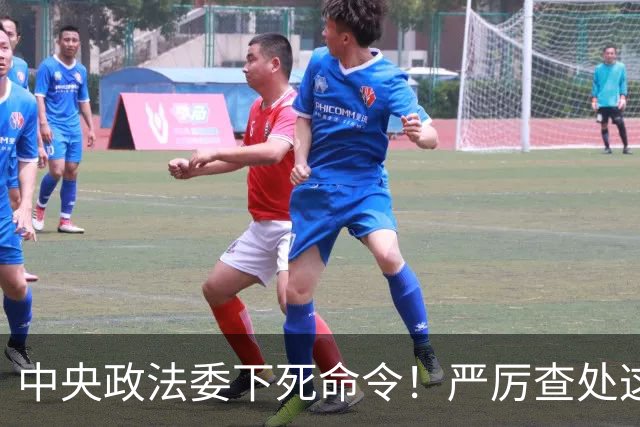 中央政法委下死命令！严厉查处这些行为，一起都不放过！