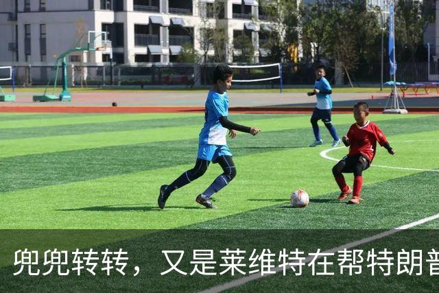 兜兜转转，又是莱维特在帮特朗普？