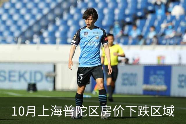 10月上海普陀区房价下跌区域